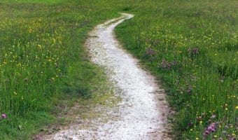 Pathway to Hope