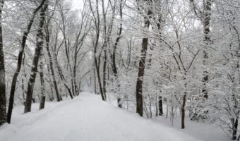 Finding Hope From Ashes